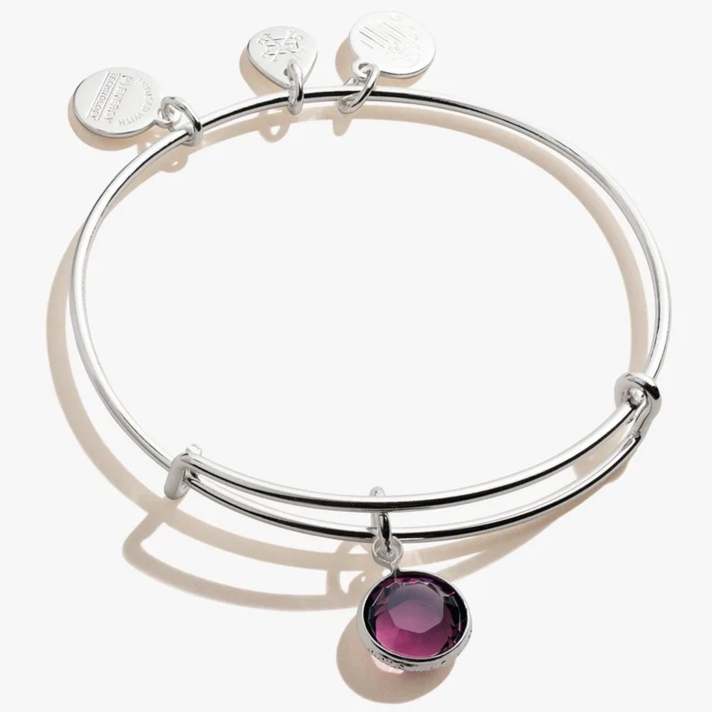 Alex and Ani Birthstone Amethyst Bangle